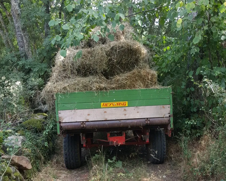 Transport des bottes