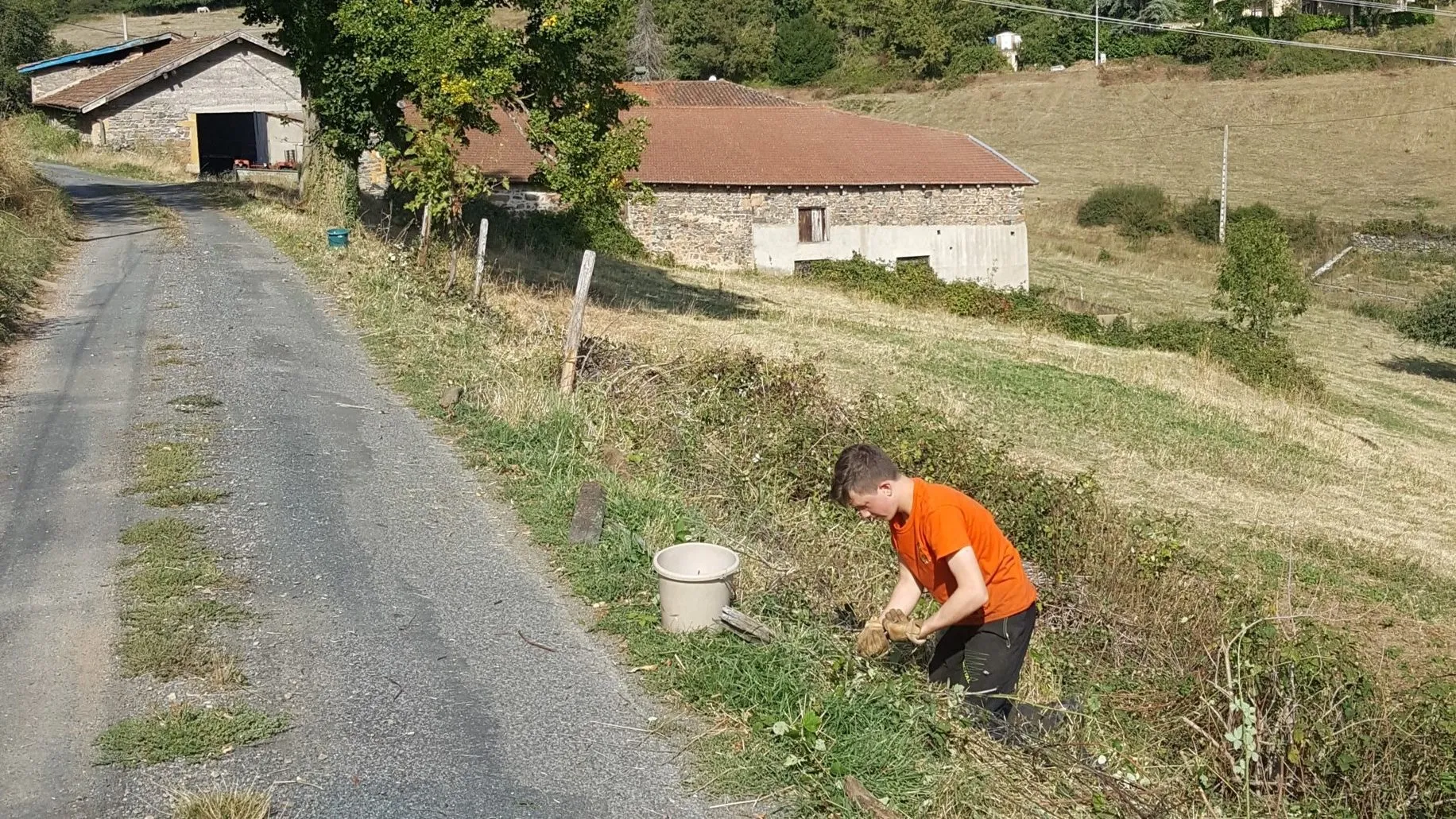 Pose des clôtures