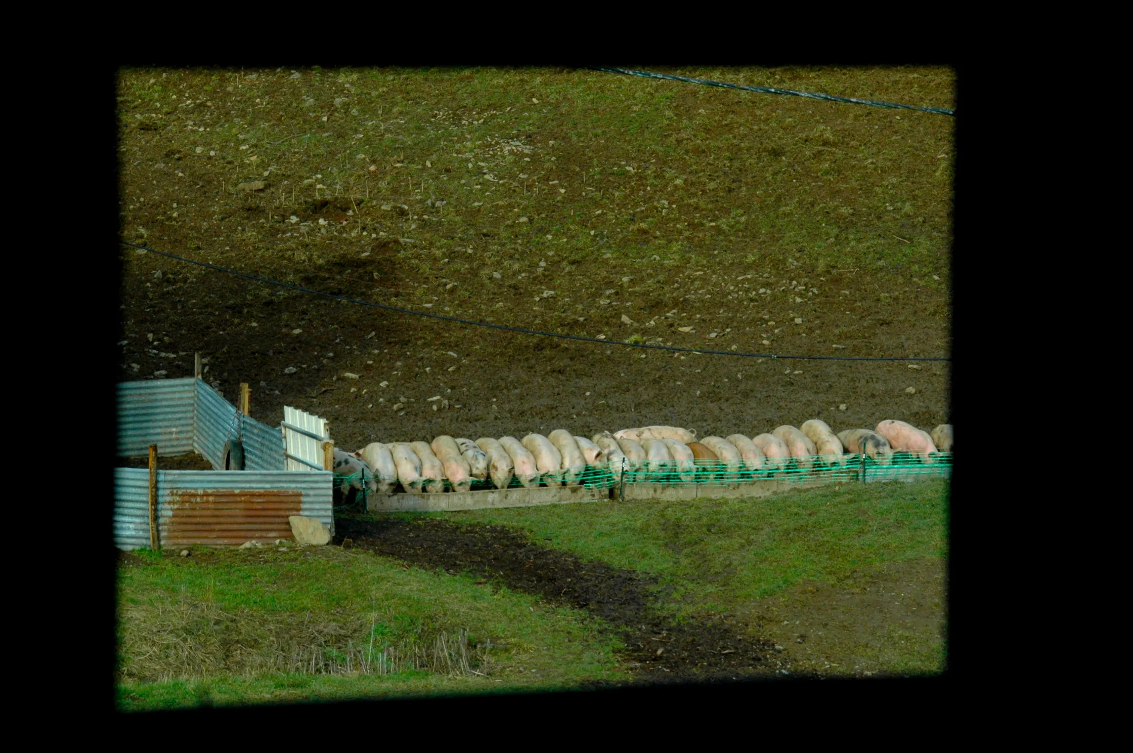 Cabanes paillées