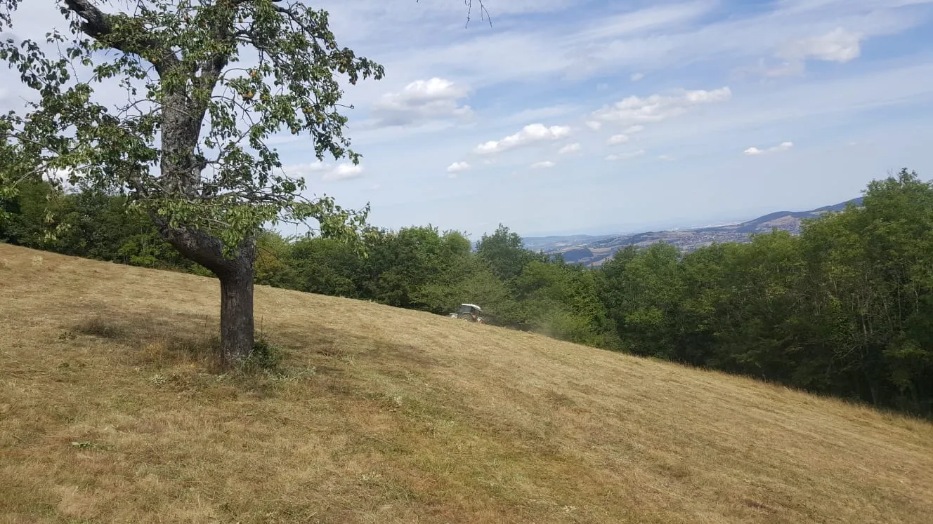 Fauche des parcelles
