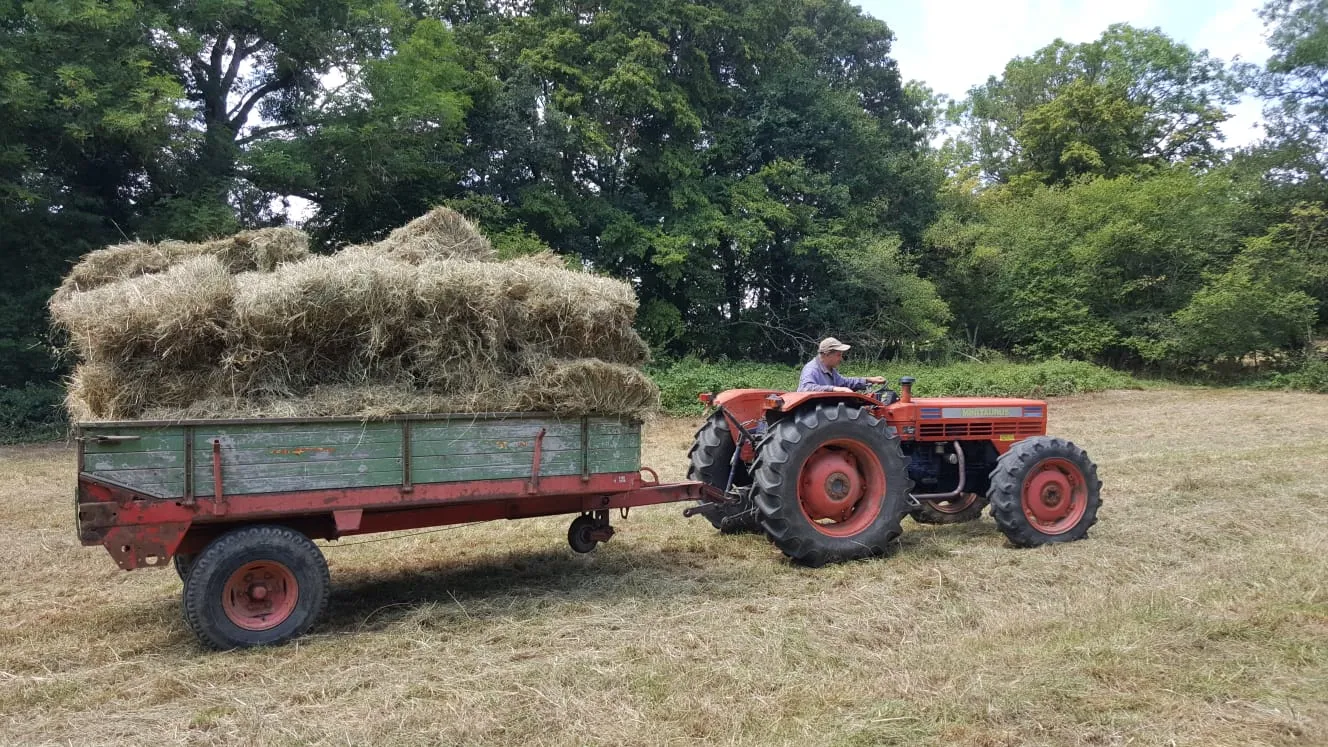 Transport des bottes