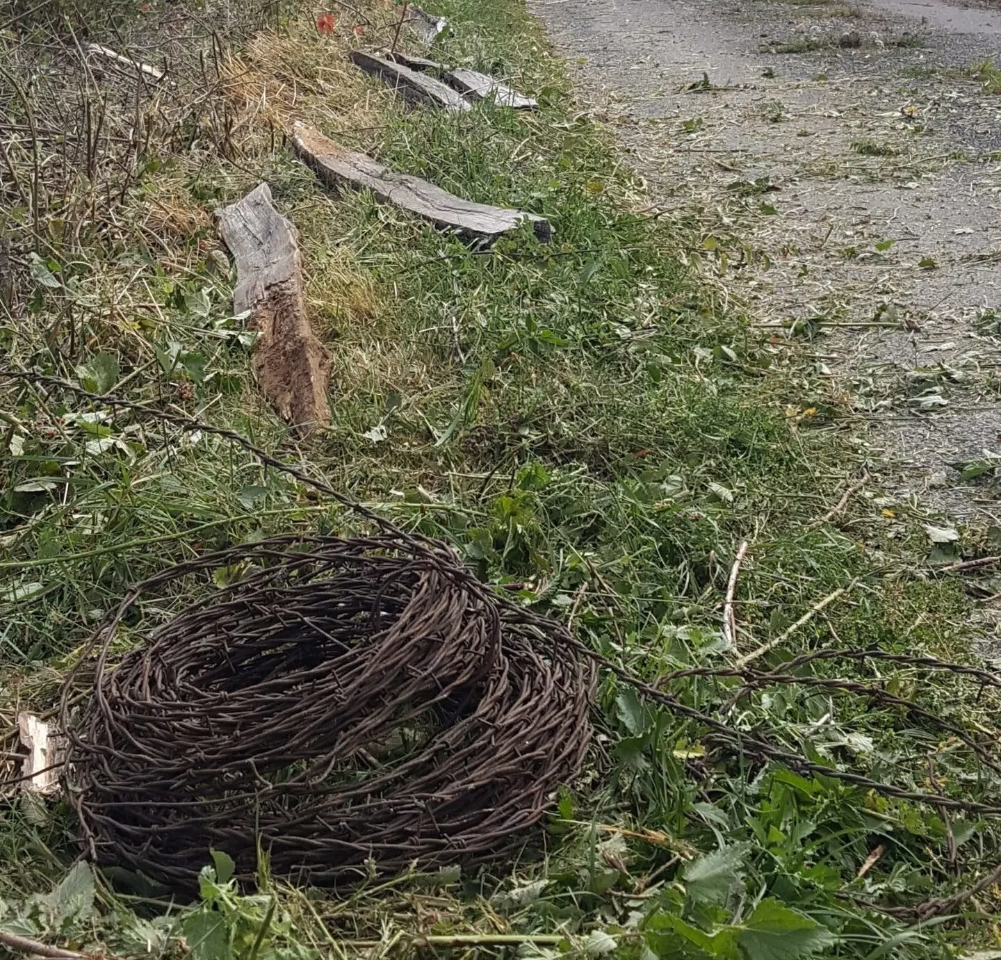 Pose des clôtures de biosécurité autour des parcs à cochons.
